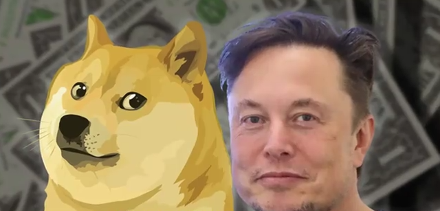 Chó có thể định lượng